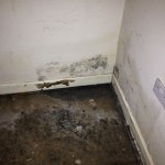 Sheffield Basement Conversion - Flooded Cellar to Dry Storage Area Before
