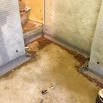 Sheffield Basement Conversion - Flooded Cellar to Dry Storage Area